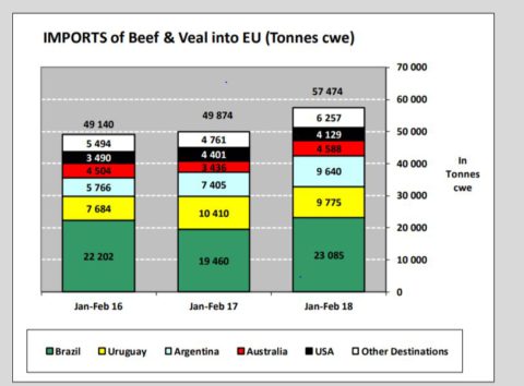 Statistika - import hovězího a telecíhovmasa v tunách